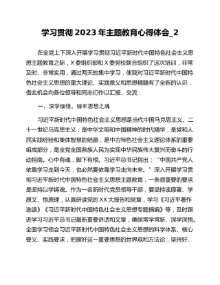 学习贯彻2023年主题教育心得体会_2 (2)