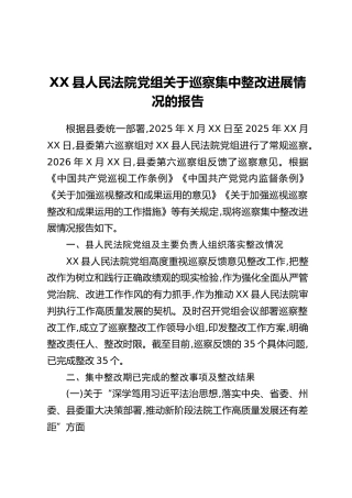 XX县人民法院党组关于巡察集中整改进展情况的报告