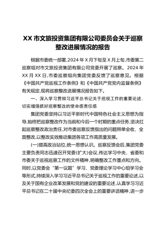 XX市文旅投资集团有限公司委员会关于巡察整改进展情况的报告