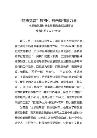 “特殊党费”显初心抗击疫情献力量——丰原镇伍星村党支部书记姚乐先进事迹