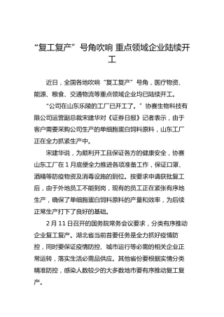 “复工复产”号角吹响重点领域企业陆续开工