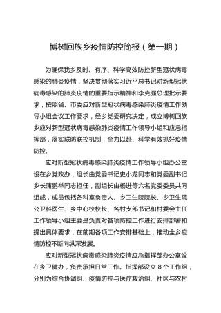 博树回族乡疫情防控简报（第一期）