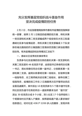 耒阳市应急管理局疫情防控工作简报