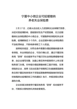 宁夏中小微企业可延缓缴纳养老失业保险费