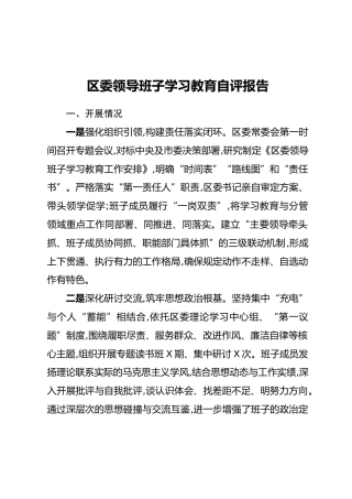 区委领导班子学习教育自评报告