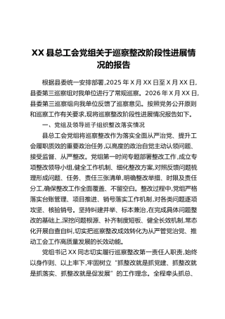 XX县总工会党组关于巡察整改阶段性进展情况的报告