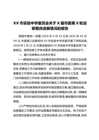 XX市实验中学委员会关于X届市委第X轮巡察整改进展情况的报告