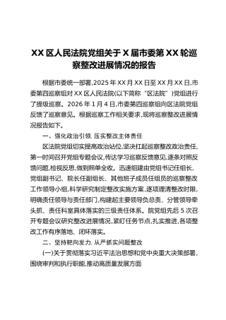 XX区人民法院党组关于X届市委第XX轮巡察整改进展情况的报告