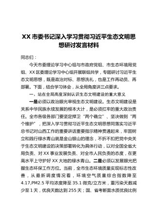 XX市委书记深入学习贯彻习近平生态文明思想研讨发言材料