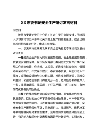XX市委书记安全生产研讨发言材料