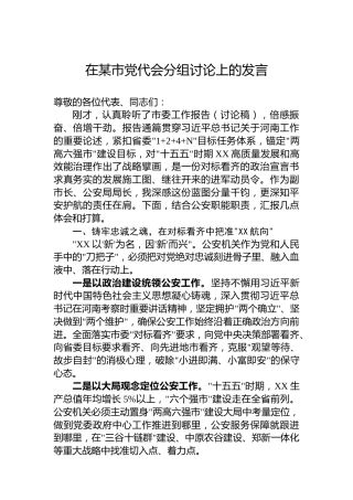 在某市党代会分组讨论上的发言