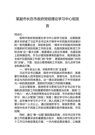 某副市长在市政府党组理论学习中心组发言