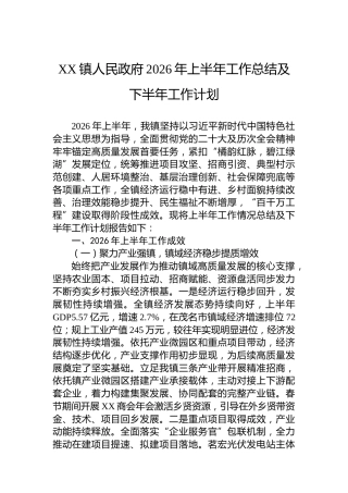 XX镇人民政府2026年上半年工作总结及下半年工作计划