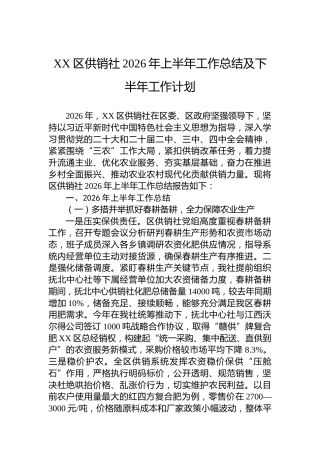XX区供销社2026年上半年工作总结及下半年工作计划