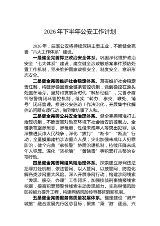 2026年下半年公安工作计划