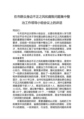 在市群众身边不正之风和腐败问题集中整治工作领导小组会议上的讲话