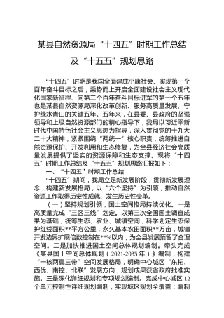 某县自然资源局“十四五”时期工作总结及“十五五”规划思路 (1)
