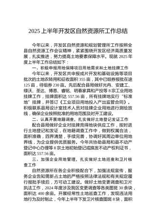 2025上半年开发区自然资源所工作总结