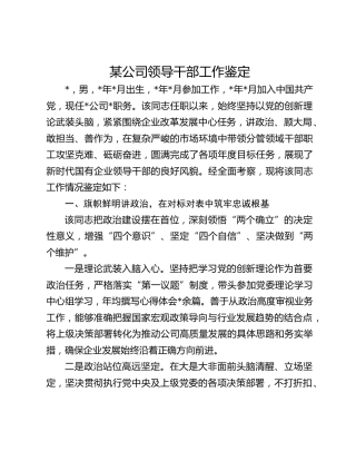 某公司领导干部工作鉴定