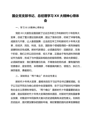国企党支部书记、总经理学习二十大精神心得体会