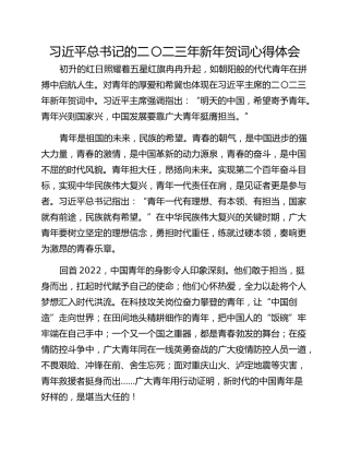 习近平总书记的二〇二三年新年贺词心得体会