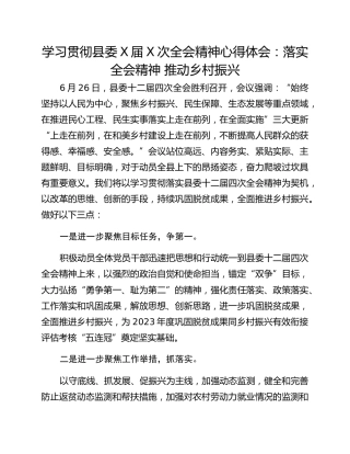 学习贯彻县委X届X次全会精神心得体会：落实全会精神 推动乡村振兴