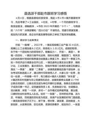 县选派干部赴市跟班学习感悟
