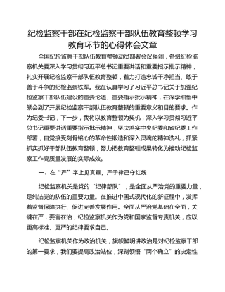 纪检监察干部在纪检监察干部队伍教育整顿学习教育环节的心得体会文章