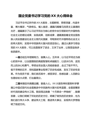 国企党委书记学习党的二十大心得体会