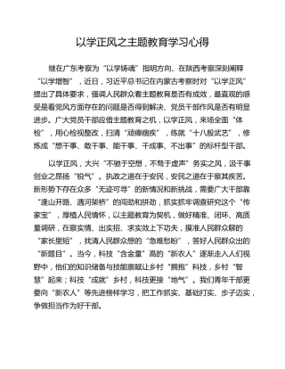 以学正风之主题教育学习心得