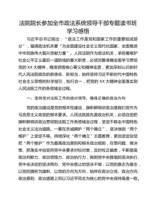 法院院长参加全市政法系统领导干部专题读书班学习感悟