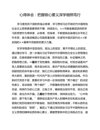 心得体会：把握核心要义深学细照笃行