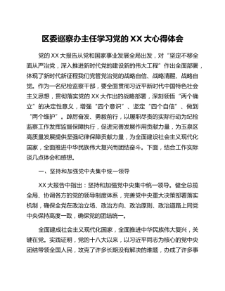 区委巡察办主任学习党的二十大心得体会
