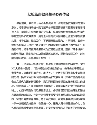 纪检监察教育整顿心得体会