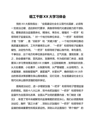 组工干部二十大学习体会