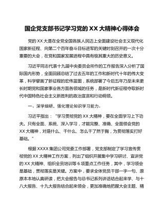 国企党支部书记学习党的二十大精神心得体会