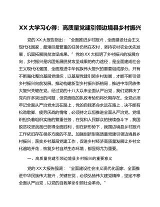二十大学习心得：高质量党建引领边境县乡村振兴