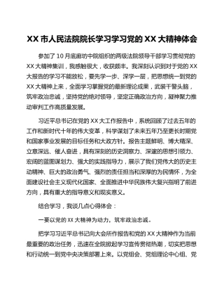 XX市人民法院院长学习学习党的二十大精神体会