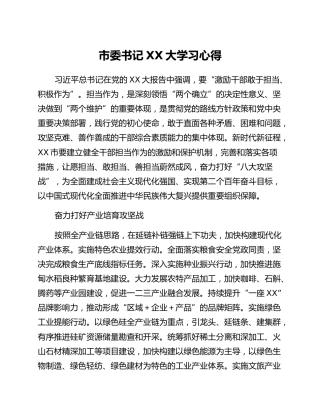 市委书记二十大学习心得