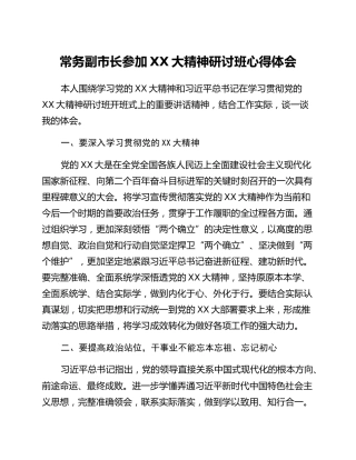 常务副市长参加二十大精神研讨班心得体会