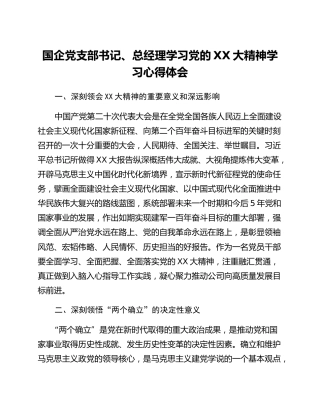 国企党支部书记、总经理学习党的二十大精神学习心得体会