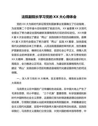法院副院长学习党的二十大心得体会