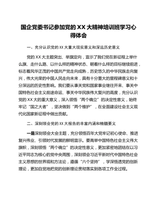 国企党委书记参加党的二十大精神培训班学习心得体会