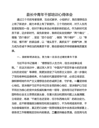 县长中青年干部培训心得体会