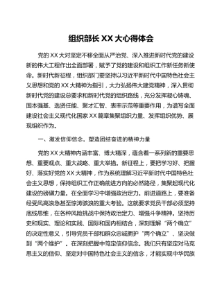 组织部长二十大心得体会