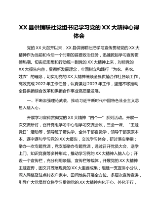 XX县供销联社党组书记学习党的二十大精神心得体会