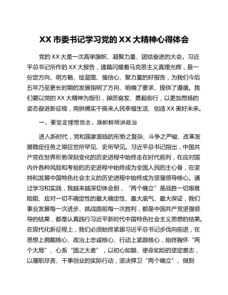 XX市委书记学习党的二十大精神心得体会