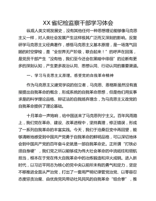 XX省纪检监察干部学习体会