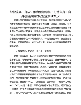 纪检监察干部队伍教育整顿感悟：打造自身正自身硬自身廉的纪检监察铁军_2