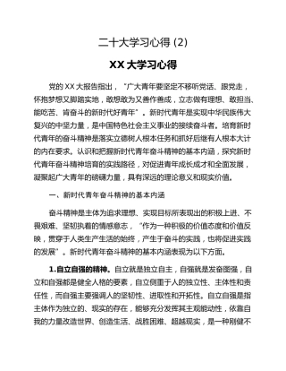 二十大学习心得 (2)